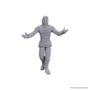 D&D Nolzur's Marvelous Minis Special Edition Baldur's Gate 3 - Sarevok Anchev & Raphael
