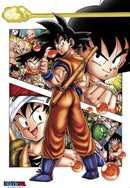 Dragon Ball - Goku 24x36 Anime Poster