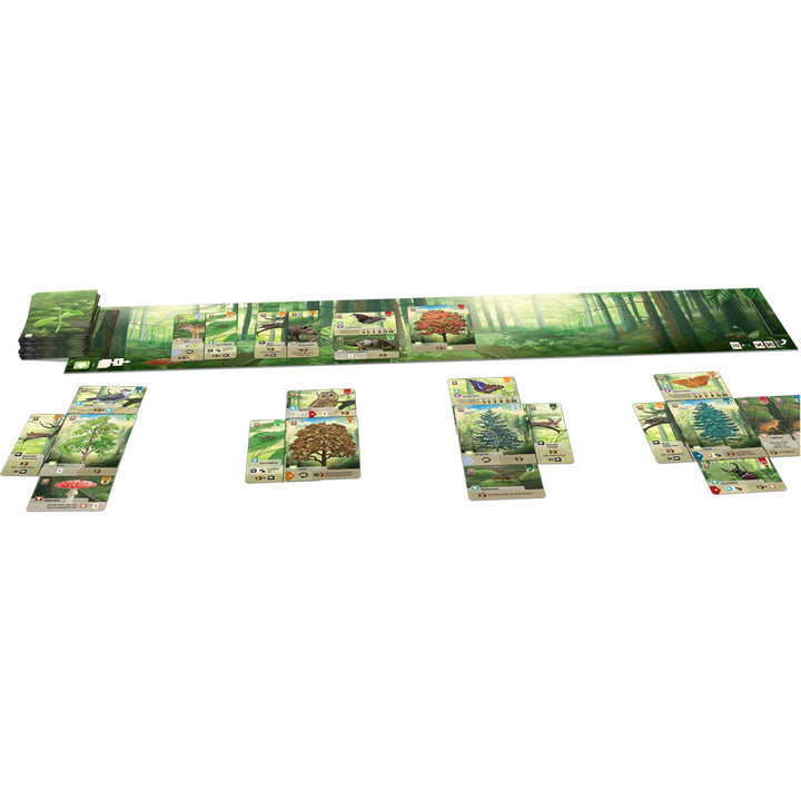 Forest Shuffle Board Game