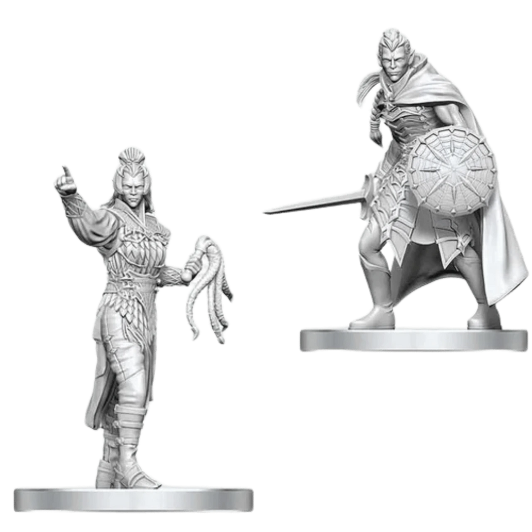 Drow Elite Warrior &amp; Drow Priestess of Lolth