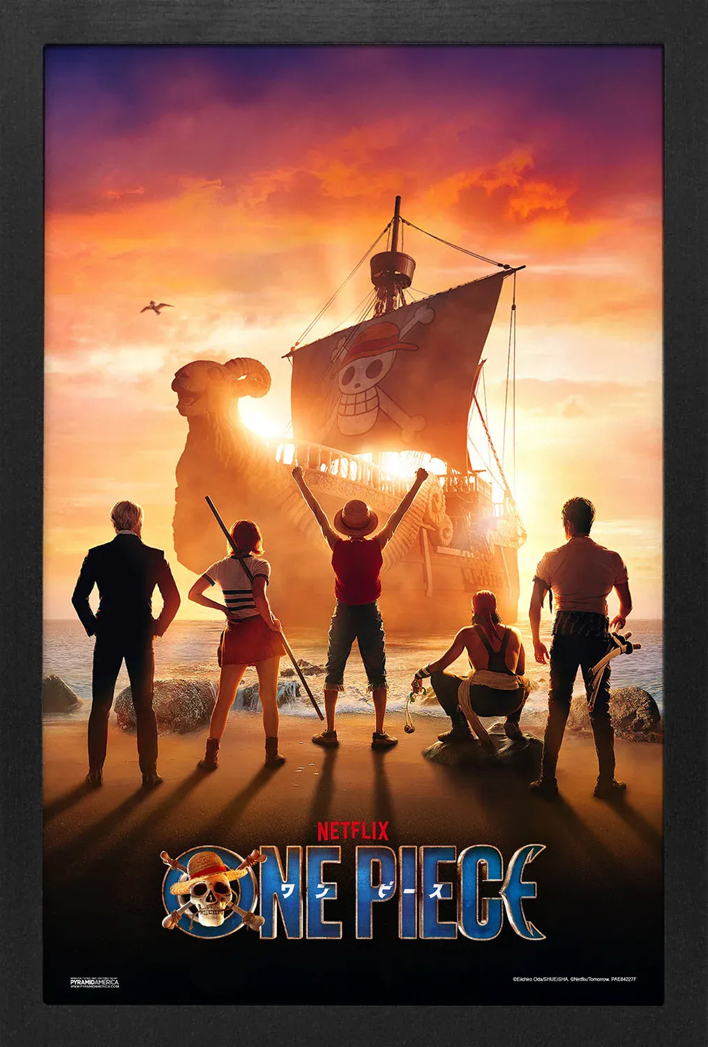 One Piece Live Action Key Art Poster (11" x 17" Gel-Coat)