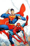 DC Marvel Superman Spider-Man