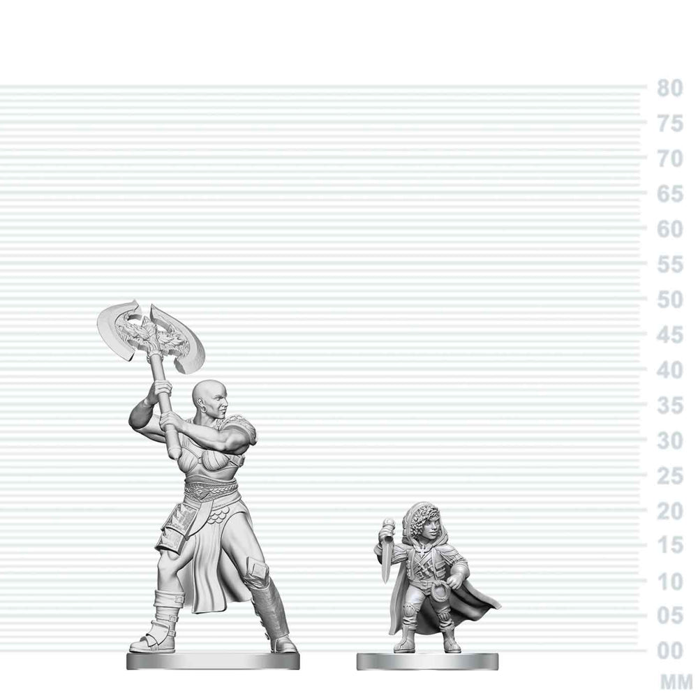 Goliath Barbarian & Halfling Rogue