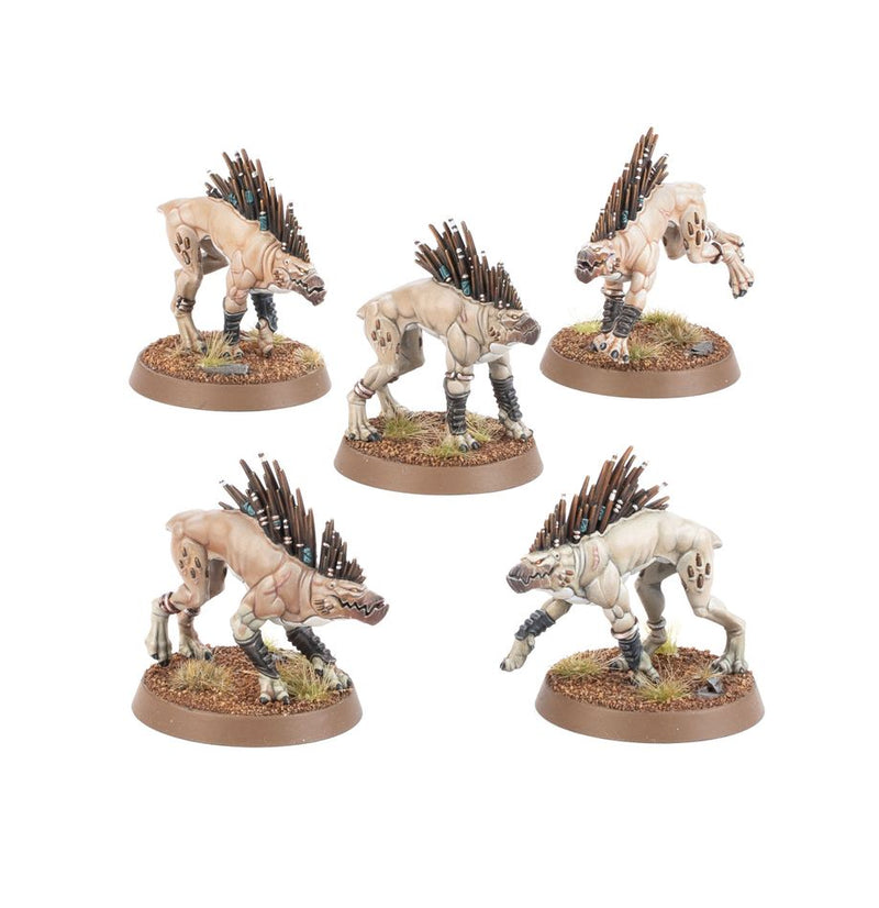 Warhammer 40K T'au Empire - Kroot Hounds