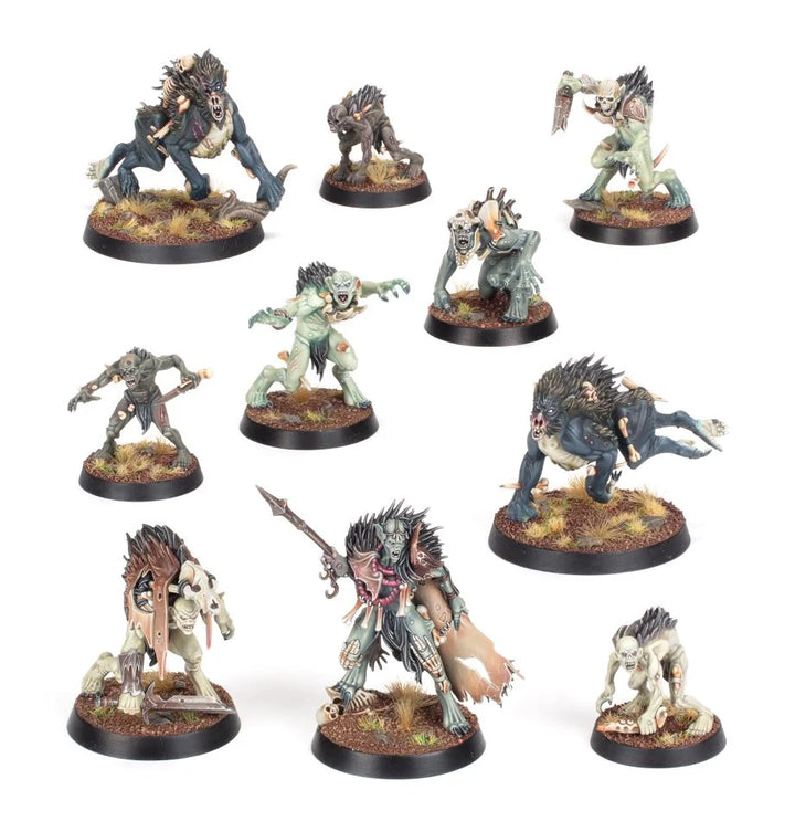 Warhammer Age Of Sigmar Warcry: Royal Beastflayers