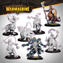 Warmachine MKIV: Shadowflame Shard - Shard Incarnates Cadre