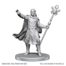 D&D Nolzur's Marvelous Miniatures: Unpainted Minis - Wave 28 - Drow Mage & Yochlol