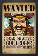 One Piece (Live Action): Gold Roger Wanted 11x17 Gel-Coat Poster