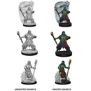 D&D Minis: Wave 5- Water Genasi Male Druid - The Hobby Hub
