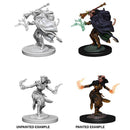 D&D Minis: Wave 6- Female Tiefling Warlock - The Hobby Hub