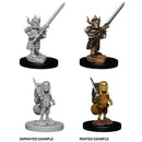 D&D Minis: Wave 6- Male Halfling Fighter - The Hobby Hub