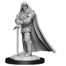 D&D NOLZARS MARVELOUS MINIS HUMAN PALADIN MALE - The Hobby Hub