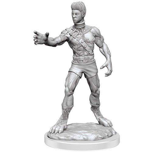 D&amp;D Nolzurs Marvelous Minis - W19 Headless Monster