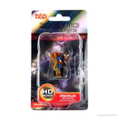 D&D Icons of the Realm Premium Painted Minis: Dragonborn Sorcerer - The Hobby Hub