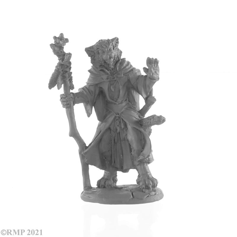 Dark Heaven Legends Metal Catfolk Mage Miniature