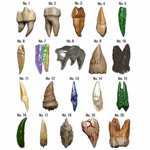 Dungeons &amp; Dragons: Teeth Of Dahlver-Nar Bite-Sized Artifact