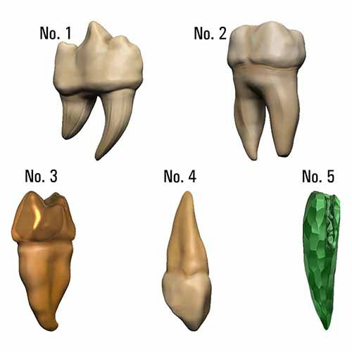 Dungeons & Dragons: Teeth Of Dahlver-Nar Bite-Sized Artifact