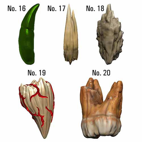 Dungeons &amp; Dragons: Teeth Of Dahlver-Nar Bite-Sized Artifact