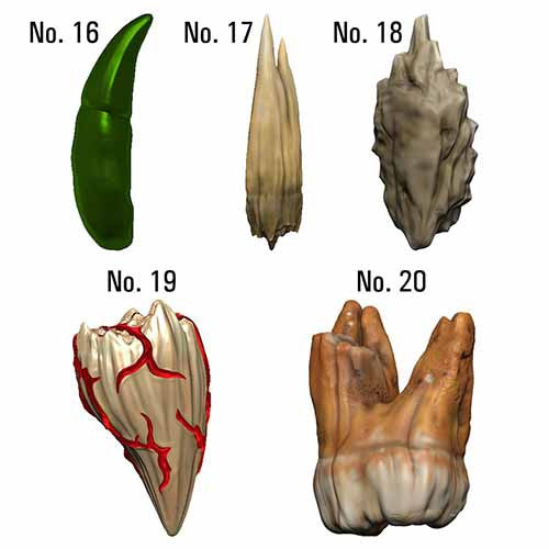 Dungeons & Dragons: Teeth Of Dahlver-Nar Bite-Sized Artifact