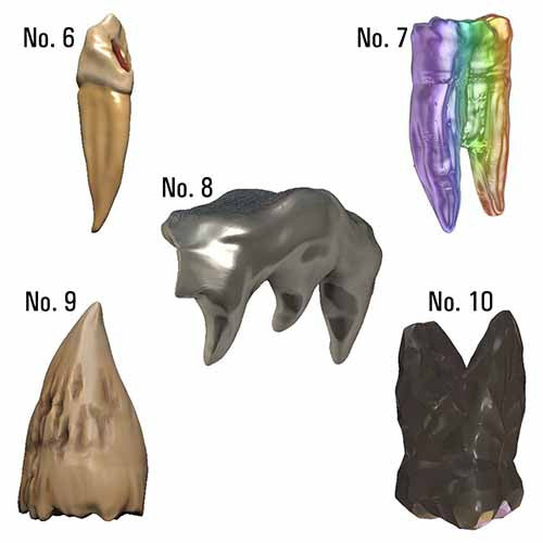 Dungeons &amp; Dragons: Teeth Of Dahlver-Nar Bite-Sized Artifact