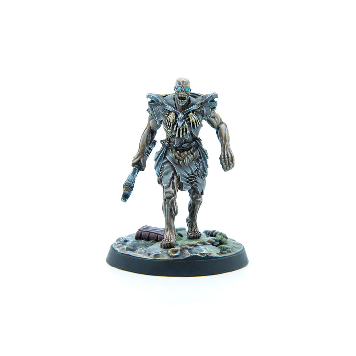 Elder Scrolls Call to Arms: Draugr Ancients Exp.