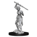 Magic The Gathering Unpainted Miniatures W14 Nahiri