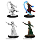 Pathfinder Minis: Deep Cuts Wave 6- Female Human Wizard - The Hobby Hub
